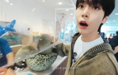 도영,,자라 인형은 공명 준거 귀여워,,,, - 인스티즈(instiz) 연예 카테고리 도영,,자라 인형은 공명 준거 귀여워,,,,