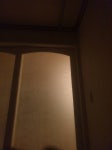 [잡담] 내가 진짜 소름돋는거 이야기해줄까❓ - 인스티즈(instiz) 일상 카테고리 [잡담] 내가 진짜 소름돋는거 이야기해줄까❓
