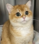 [잡담] 동물병원 최고복지 - 인스티즈(instiz) 일상 카테고리