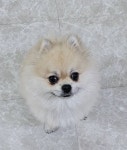 [잡담] 울아빠 5년만에 카톡 프사바꿈 - 인스티즈(instiz) 일상 카테고리