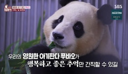 [잡담] 오늘 동물농장 푸바오편에 나온 마지막 장면 - 인스티즈(instiz) 연예 카테고리
