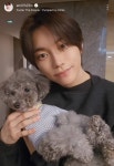 [잡담] 와 환연 해은 현규 닮아가는거 개신기하다 - 인스티즈(instiz) 일상 카테고리