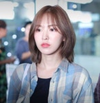 지금 이 길이에서 머리 숱치면 망할까? 허쉬컷 조언좀ㅜ - 인스티즈(instiz) 뷰티 카테고리