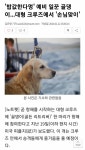 밥값한다멍 예비 일꾼 골댕이...대형 크루즈에서 손님맞이 - 인스티즈(instiz) 이슈 카테고리