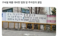 법원 앞 주차장에 써있는거 라는뎈ㅋㅋㅋㅋㅋㅋㅋ - 인스티즈(instiz) 일상 카테고리 법원 앞 주차장에 써있는거 라는뎈ㅋㅋㅋㅋㅋㅋㅋ