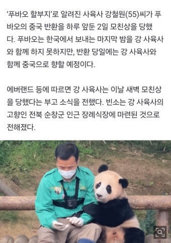 [잡담] 푸바오와 이별 앞둔 강철원 사육사 모친상…'예정대로 함께 중국행' - 인스티즈(instiz) 연예 카테고리