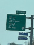 [잡담] 오늘 가족끼리 벚꽃 보러가는 길에 본 정우 - 인스티즈(instiz) 연예 카테고리