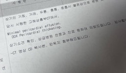 [잡담] ❗️❗️❗️의료계익들 있어? 씨티 볼 줄 아는 ㅠㅠㅠㅠㅠㅠㅠ 급해ㅠㅠㅠ❗️❗️❗️ - 인스티즈(instiz) 일상 카테고리