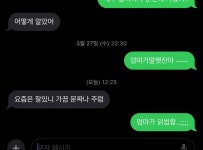울 엄마 뭐냨ㅋㅋㅋ - 인스티즈(instiz) 일상 카테고리 울 엄마 뭐냨ㅋㅋㅋ