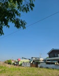 [잡담] 나 사는데 시골...편의점 가는 길에 찍음 - 인스티즈(instiz) 일상 카테고리