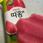 분명 누가 따옴 수박 맛있댔는데.. - 인스티즈(instiz) 일상 카테고리