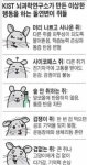 술 안취하는 쥐 겁나웃김 - 인스티즈(instiz) 일상 카테고리 술 안취하는 쥐 겁나웃김