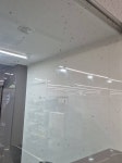 [잡담] 러브버그에 지배당한 우리 동네 편의점 - 인스티즈(instiz) 일상 카테고리