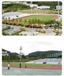 [잡담] 부산시 개양아치 아니가 1만석 누구 코딱지에 붙이라고? - 인스티즈(instiz) 롯데 카테고리