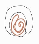 어떻게 사람 대변이 이렇게 생길 수가 있어? 그림(ㅎㅇㅈㅇ) - 인스티즈(instiz) 일상 카테고리 어떻게 사람 대변이 이렇게 생길 수가 있어? 그림... 