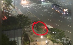 [마플] 아니 심지어 바로 옆에 자전거 도로도 있었는데 - 인스티즈(instiz) 연예 카테고리