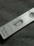 [잡담] 이것도 양성인가?? - 인스티즈(instiz) 일상 카테고리