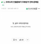 [잡담] 초록글(인셀 문화가 주류된게 문제) 왜 규칙위반으로 삭제된거야??? - 인스티즈(instiz) 일상 카테고리