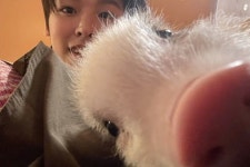 리쿠 돼지 셀카만 보면 행복해짐 - 인스티즈(instiz) 연예 카테고리 리쿠 돼지 셀카만 보면 행복해짐