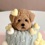 강아지 케익 주문제작했는데 너무 예뻐서 눈물남 - 인스티즈(instiz) 일상 카테고리 강아지 케익 주문제작했는데 너무 예뻐서 눈물남