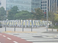 [마플] 와 서울숲 횡단보도 기다리고 있는데 건너편에 이거보이면 좀 무서울듯 - 인스티즈(instiz) 연예 카테고리 [마플] 와 서울숲 횡단보도... 