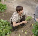 [잡담] 오늘 노포기 정우 넘 잘생기고 청순함 🥺 - 인스티즈(instiz) 연예 카테고리 오늘 노포기 정우 넘 잘생기고 청순함 🥺