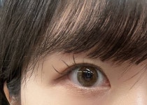 나 갈색 렌즈 새로 샀는데 구경하러 올 사람...^^ 렌즈는 아주 예뻐요 - 인스티즈(instiz) 일상 카테고리 나 갈색 렌즈 새로 샀는데 구경하러 올... 