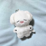 인형옷 골라줄 사람🥲🥲🥲 - 인스티즈(instiz) 연예 카테고리 인형옷 골라줄 사람🥲🥲🥲