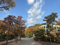 [잡담] 가을날의 서울대학교 풍경 - 인스티즈(instiz) 일상 카테고리