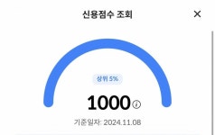 나 신용점수 1000점이야 - 인스티즈(instiz) 일상 카테고리 나 신용점수 1000점이야