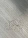 [잡담] 다들 머리카락 이정도는빠져...? - 인스티즈(instiz) 일상 카테고리