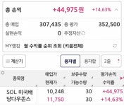 [잡담] 올해 미국주식 얼마나 올랐냐면 배당주 etf도 가격이 올랐음 - 인스티즈(instiz) 일상 카테고리