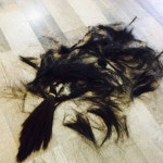 미용실에서 머리 자르고 바닥 머리카락 사진 찍는 거 특이해? - 인스티즈(instiz) 일상 카테고리 미용실에서 머리 자르고 바닥 머리카락 사진... 