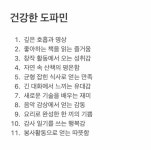 [잡담] 싸구려 도파민과 건강한 도파민이라는데 - 인스티즈(instiz) 일상 카테고리