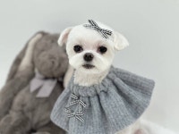 미용받고 공쥬놀이 함 ㅎㅎ - 인스티즈(instiz) 일상 카테고리 미용받고 공쥬놀이 함 ㅎㅎ