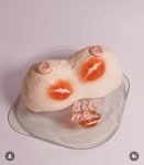 알레그리아케이크(alegria cake) | 와 이런 케이크도 만드네..? - 인스티즈(instiz) 일상 카테고리 와 이런 케이크도 만드네..?
