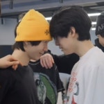 위시 냥이랑 멍이 싸운다 - 인스티즈(instiz) 연예 카테고리 위시 냥이랑 멍이 싸운다