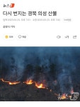 [정보/소식] 다시 번지는 경북 의성 산불 - 인스티즈(instiz) 연예 카테고리 [정보/소식] 다시 번지는 경북 의성 산불