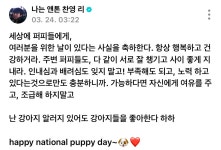 [잡담] 강아디 대장 앤톤님 - 인스티즈(instiz) 연예 카테고리