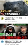 [잡담] 하이퍼나이프 벌꿀오소리 유명하구나 - 인스티즈(instiz) 드영배 카테고리