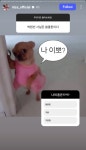 [잡담] 원빈 : 나 이뽀? - 인스티즈(instiz) 연예 카테고리
