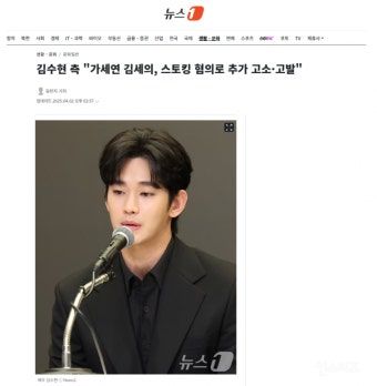 김수현, 유튜브 채널 운영자에 스토킹 혐의 추가 고소