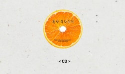 [잡담] 폭싹 아니 씨디 개귀여워ㅋㅋㅋ - 인스티즈(instiz) 드영배 카테고리