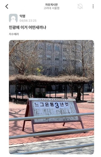 [정보/소식] 고려대 민주광장 앞 정치 중립 의무 위반 논란 - 인스티즈(instiz) 연예 카테고리