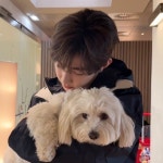 장하오 공항에서 만난 강아지랑 친해져서 - 인스티즈(instiz) 연예 카테고리 장하오 공항에서 만난 강아지랑 친해져서