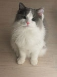 [잡담] 내일 관리사무소에서 집 방문한다는데 - 인스티즈(instiz) 일상 카테고리