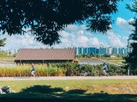 [잡담] 낭만 있는 우리 동네 - 인스티즈(instiz) 일상 카테고리