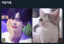 오늘 성한빈 왤케 미묘임 - 인스티즈(instiz) 연예 카테고리 오늘 성한빈 왤케 미묘임