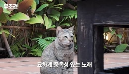 JYP에서 가르친다는 맛없는 발성 연습법.jpg - 인스티즈(instiz) 이슈 카테고리 JYP에서 가르친다는 맛없는 발성 연습법.jpg