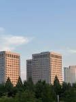 [잡담] 대전 너무 이쁘지 않아?? - 인스티즈(instiz) 일상 카테고리 대전 너무 이쁘지 않아??